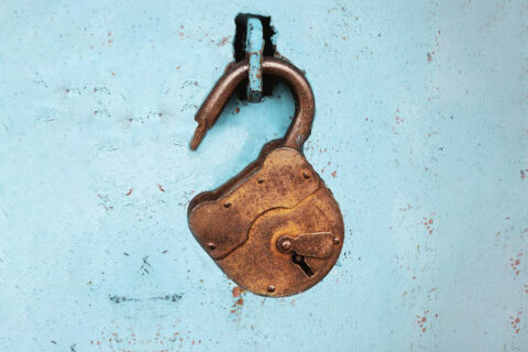 Gratis toegang tot ruim 1 miljoen wetenschappelijke artikelen